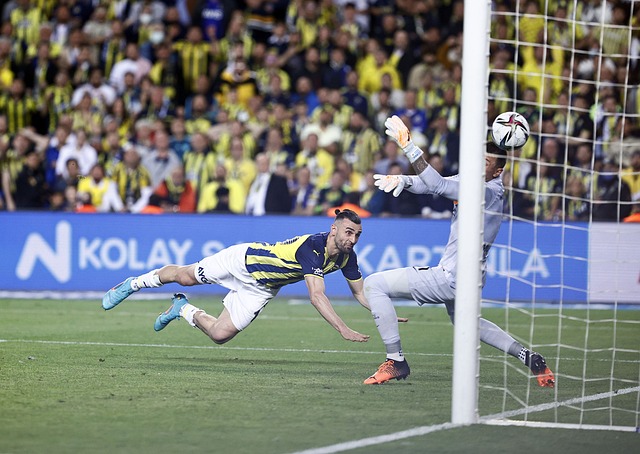 界跳水的最 界跳水的最