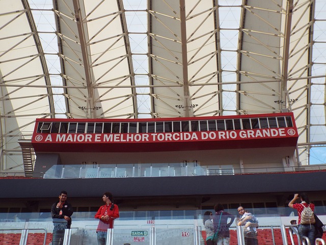 淘汰賽的巔 淘汰賽的巔