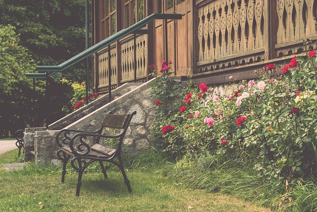 这都是足球 这都是足球