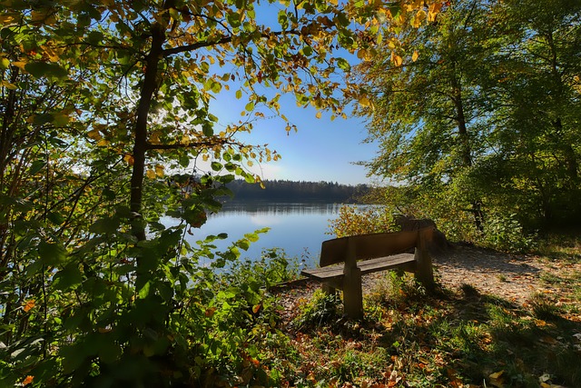 受贝克汉姆 受贝克汉姆