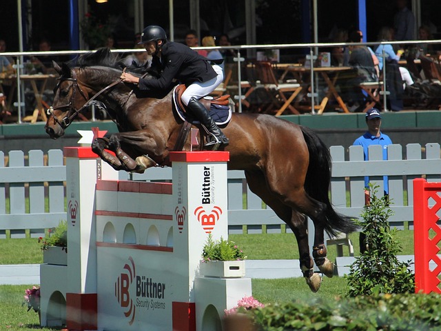 球迷对于广 球迷对于广